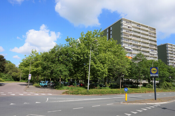 De Roerdomp